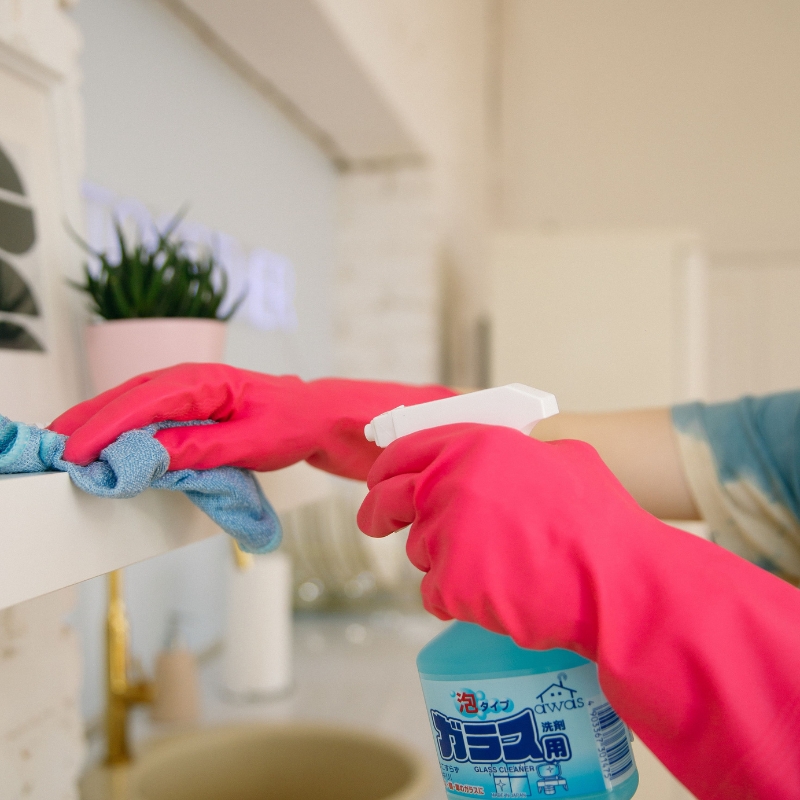Cleaning and household wholesale products — surface cleaners, laundry and bin liners